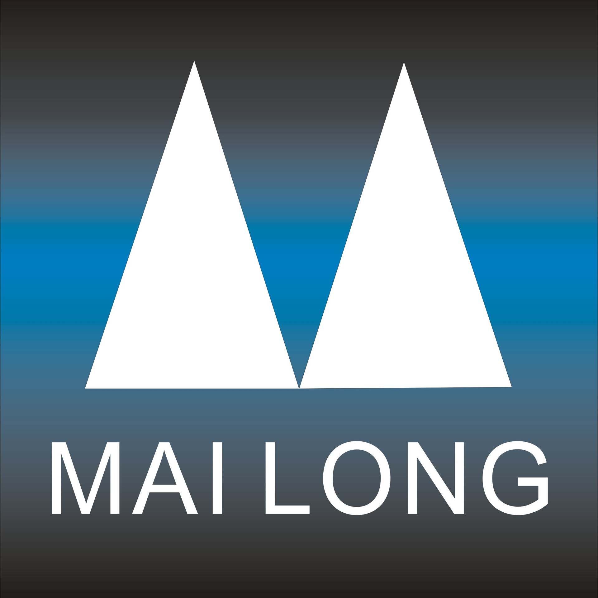 麦龙椅业 MAI LONG